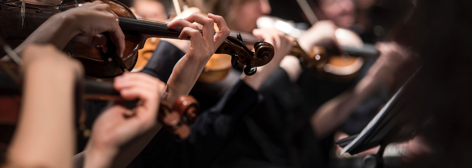 Closeup of a violin concerto